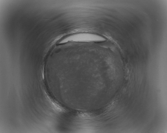 X0000062620062200601041016