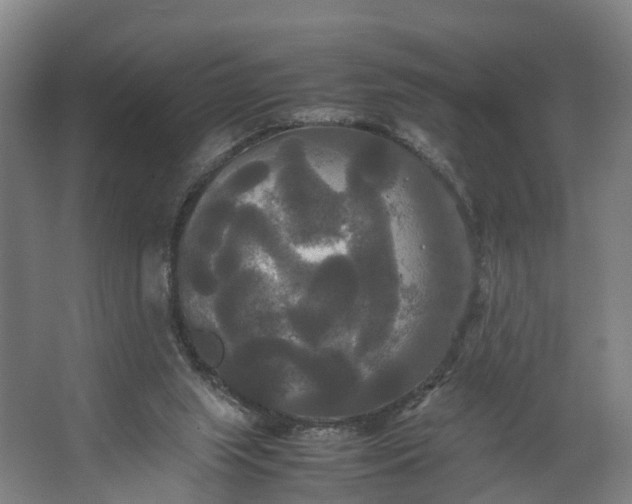 X0000062620063200601041016