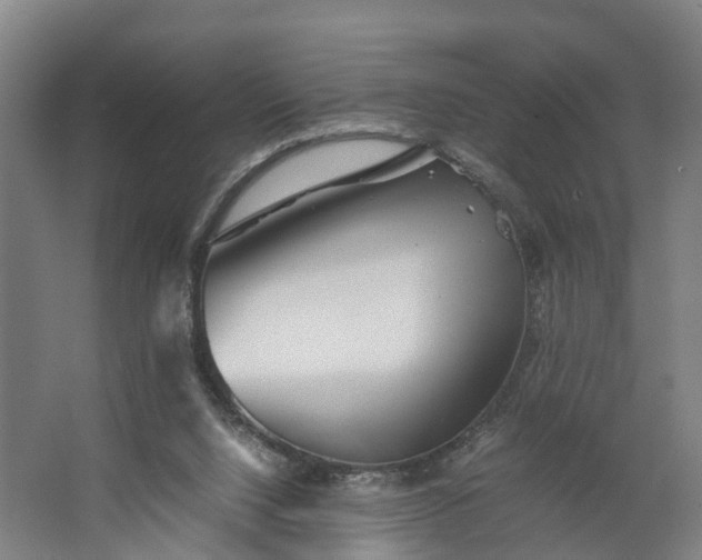 X0000062620064200601041016