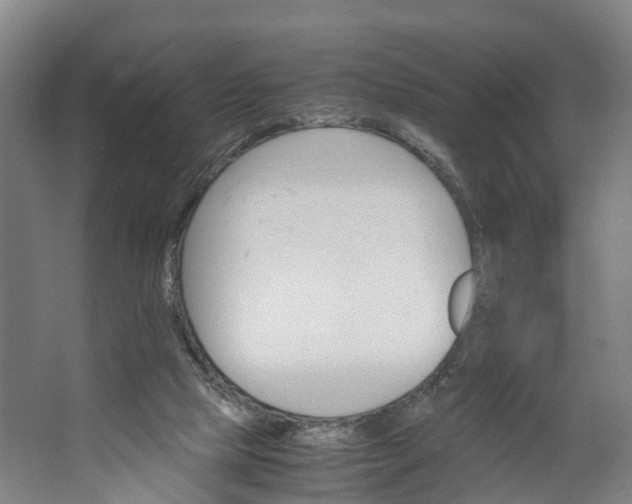 X0000062620065200601041016