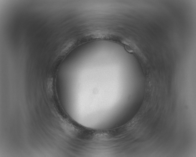 X0000062620066200601041016