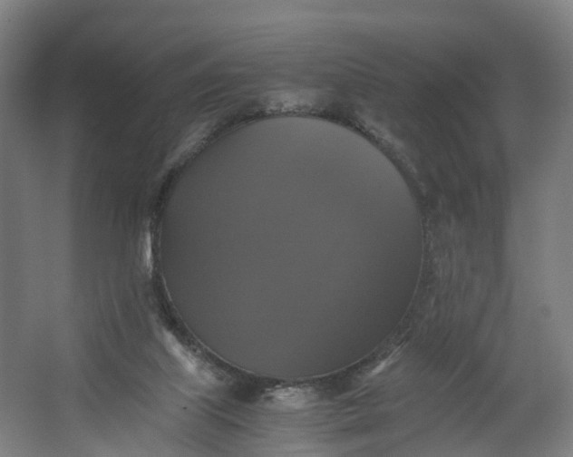 X0000062620067200601041016