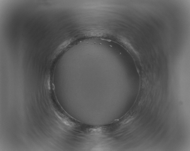 X0000062620068200601041016