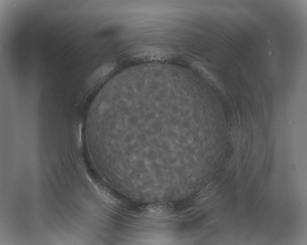 X0000062620070200601041016