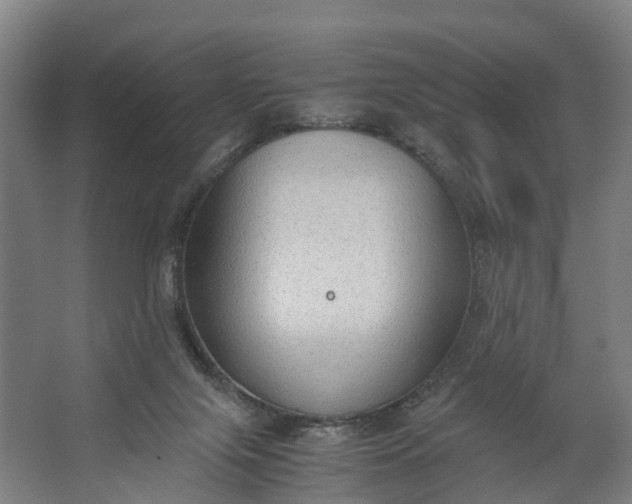 X0000062620071200601041016