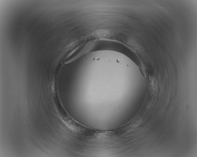 X0000062620072200601041016