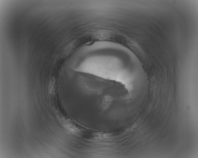 X0000062620073200601041016