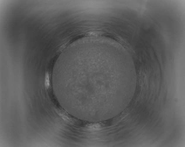 X0000062620075200601041016