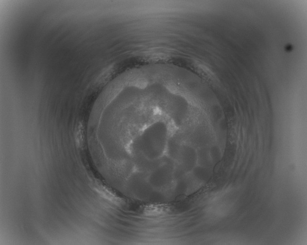 X0000062620077200601041016