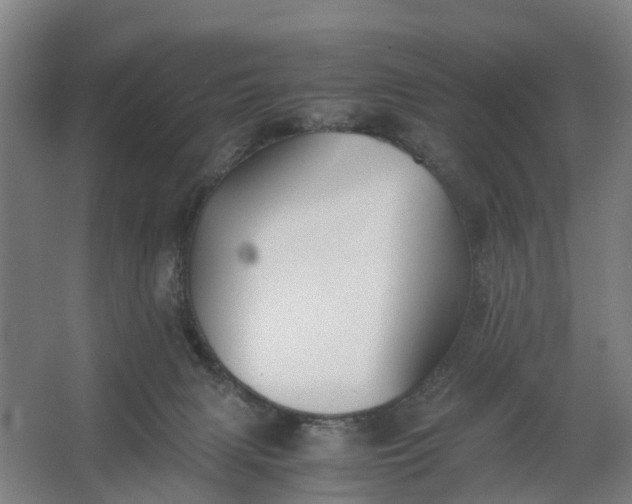 X0000062620079200601041016