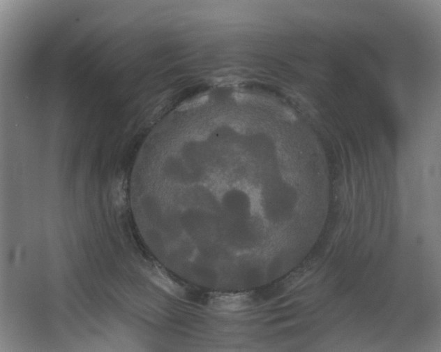 X0000062620081200601041016