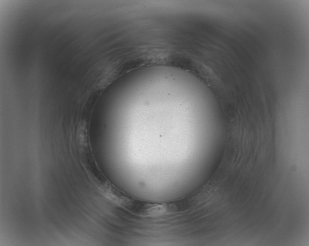 X0000062620083200601041016