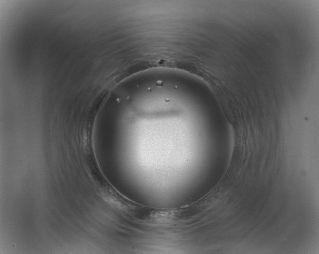 X0000062620084200601041016