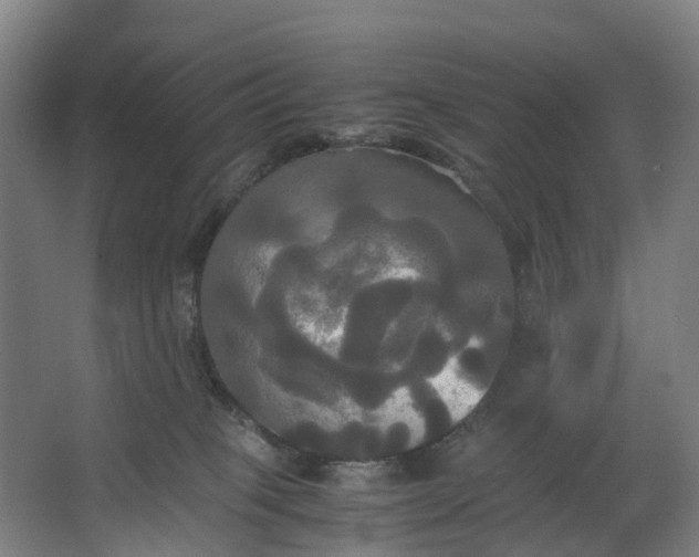 X0000062620085200601041016