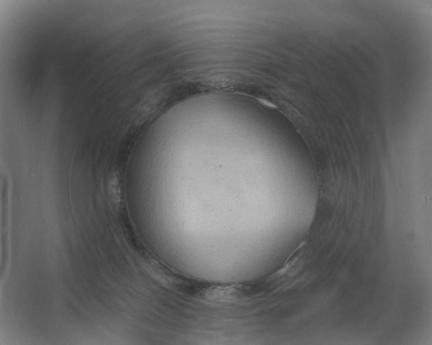 X0000062620086200601041016