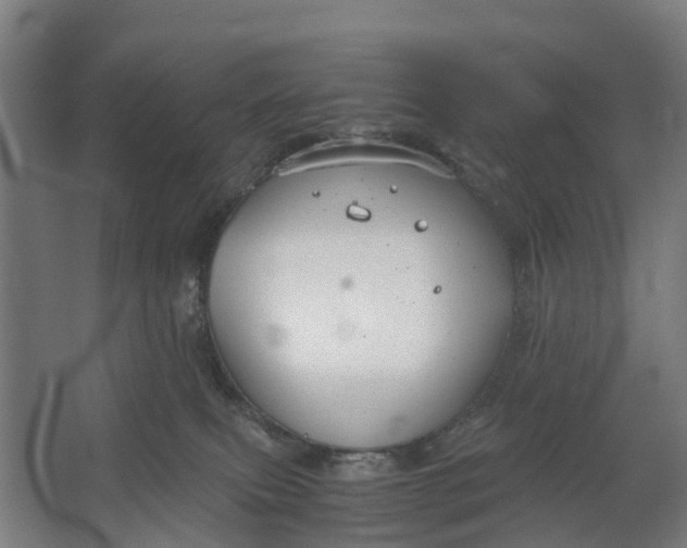 X0000062620087200601041016