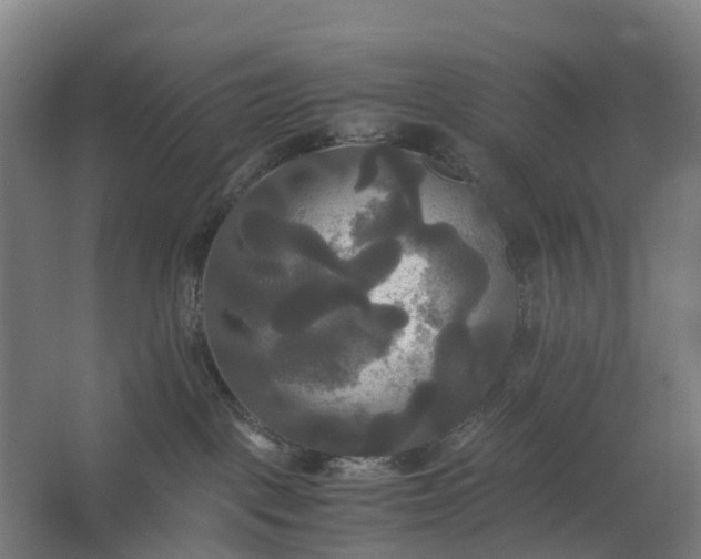 X0000062620093200601041016