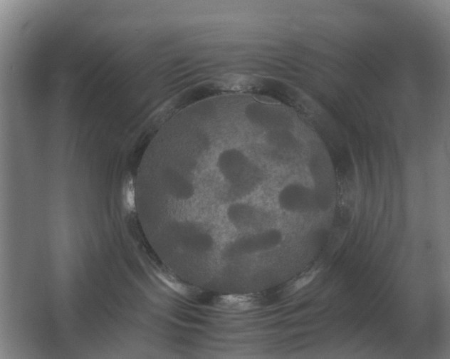 X0000062620095200601041016