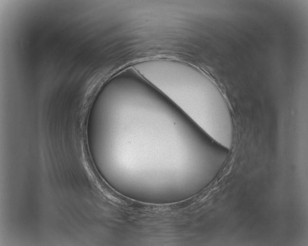 X0000062620097200601041016