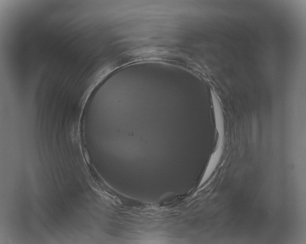 X0000062620099200601041015