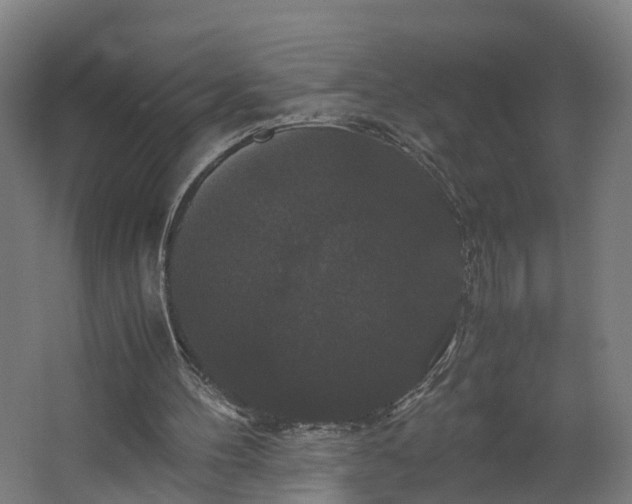 X0000062620100200601041015