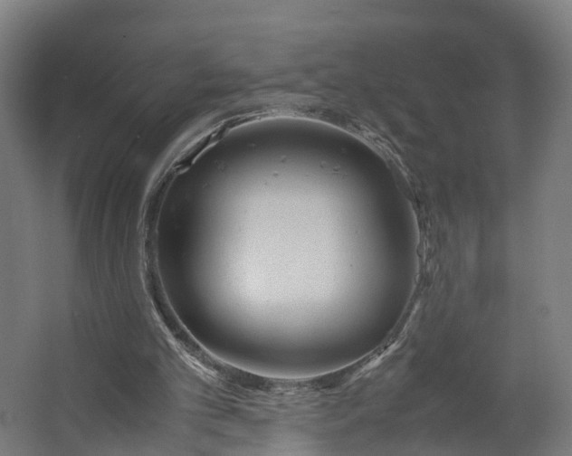 X0000062620101200601041015