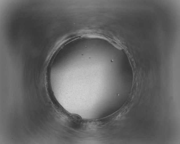 X0000062620103200601041015