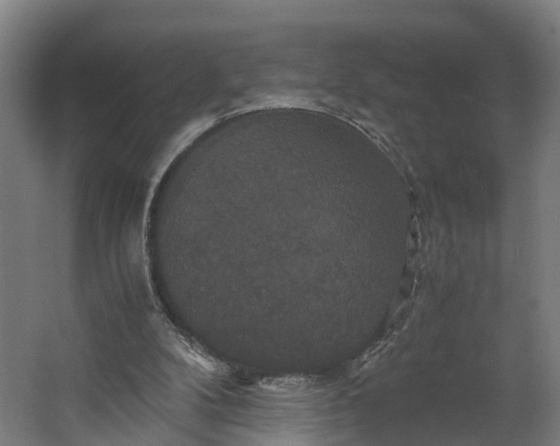 X0000062620104200601041015