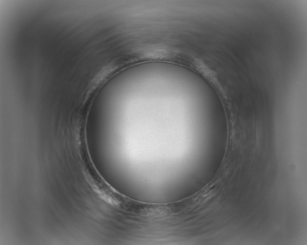 X0000062620106200601041015