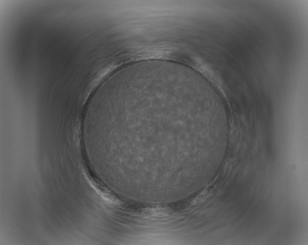 X0000062620107200601041015