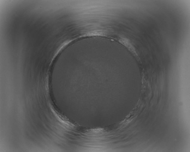 X0000062620108200601041015