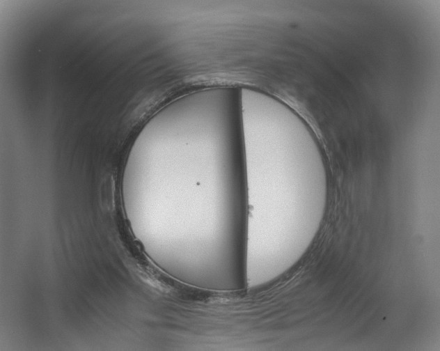 X0000062620109200601041015