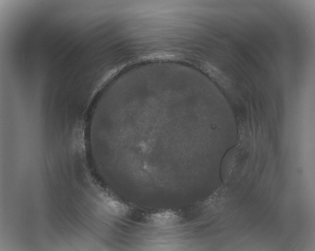 X0000062620112200601041015