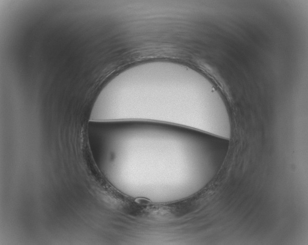 X0000062620113200601041015