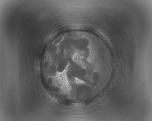 X0000062620115200601041015