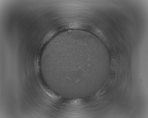 X0000062620116200601041015