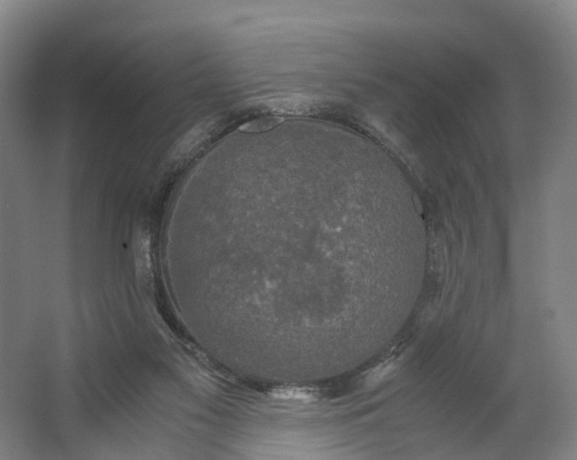 X0000062620117200601041015