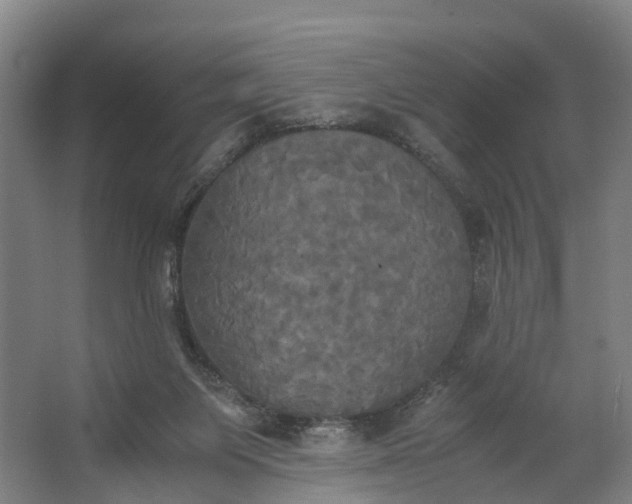 X0000062620119200601041015