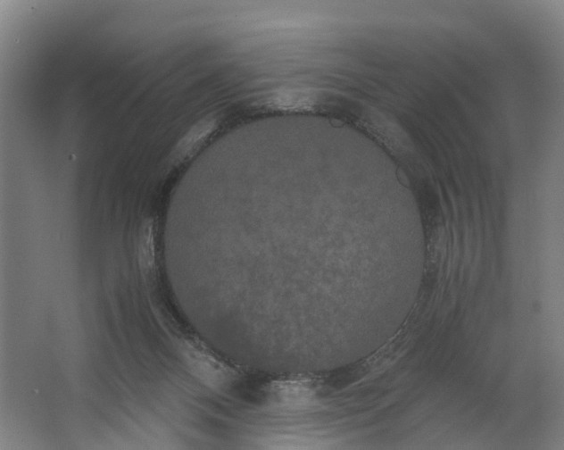 X0000062620120200601041015