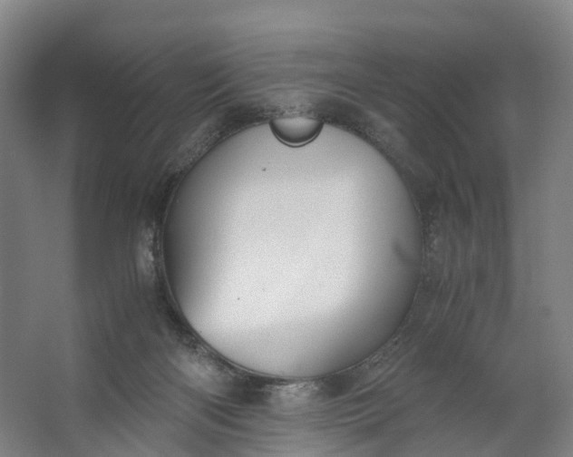 X0000062620122200601041015