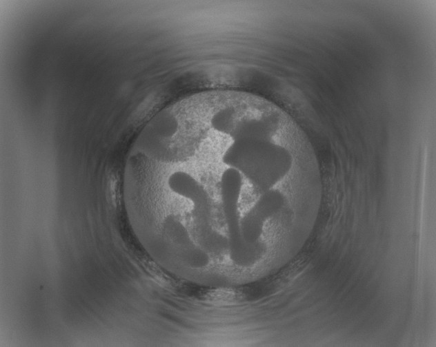 X0000062620123200601041015