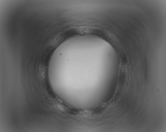 X0000062620125200601041015