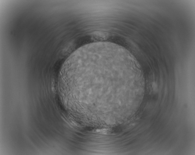 X0000062620134200601041015