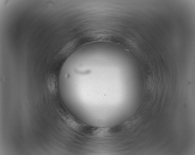 X0000062620138200601041015