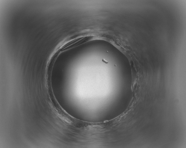 X0000062620150200601041014