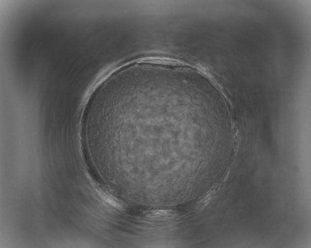 X0000062620151200601041014