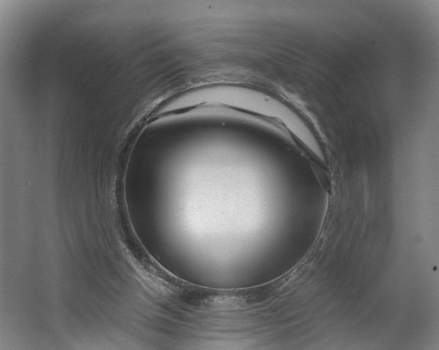 X0000062620154200601041014