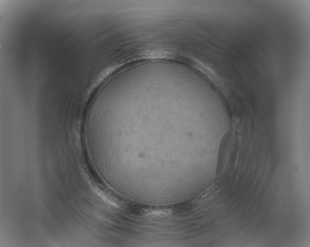 X0000062620155200601041014