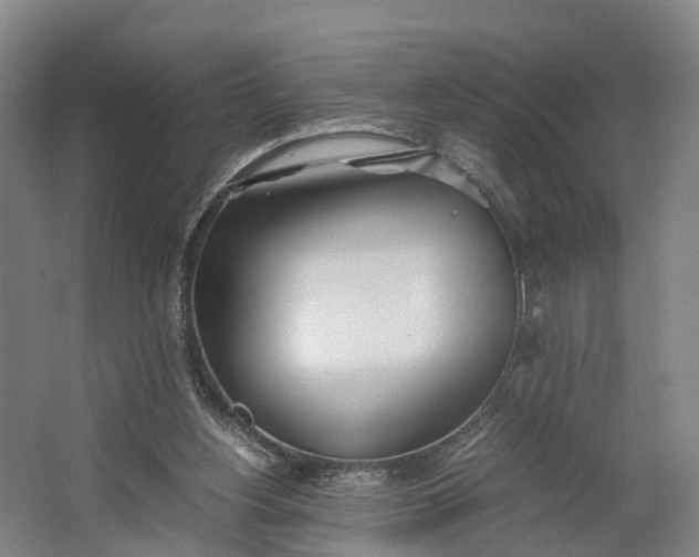 X0000062620156200601041014