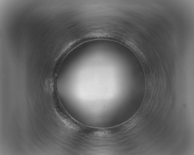 X0000062620160200601041014